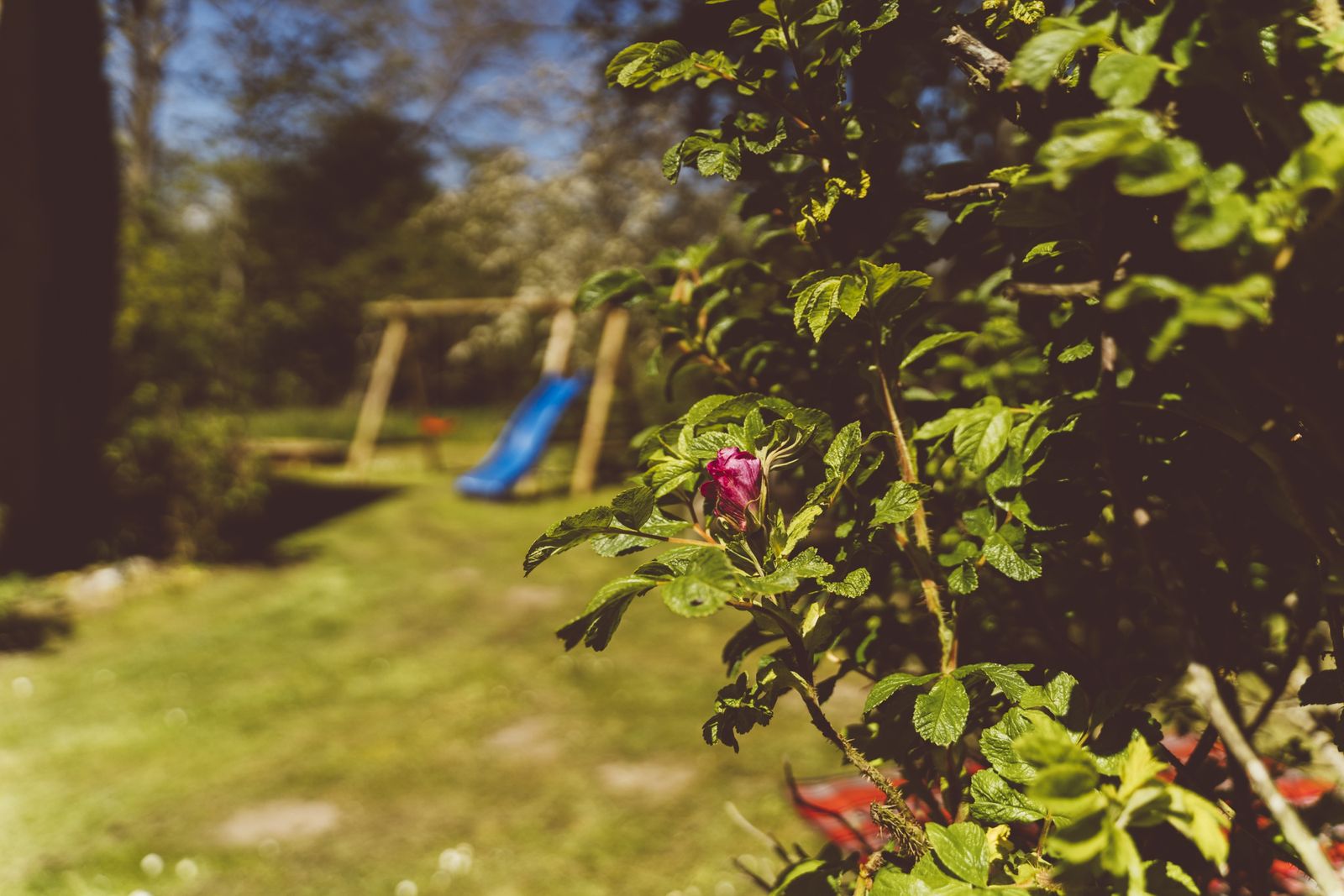 Vogelkoje (Hund erlaubt) image 29 - Gut Oehe