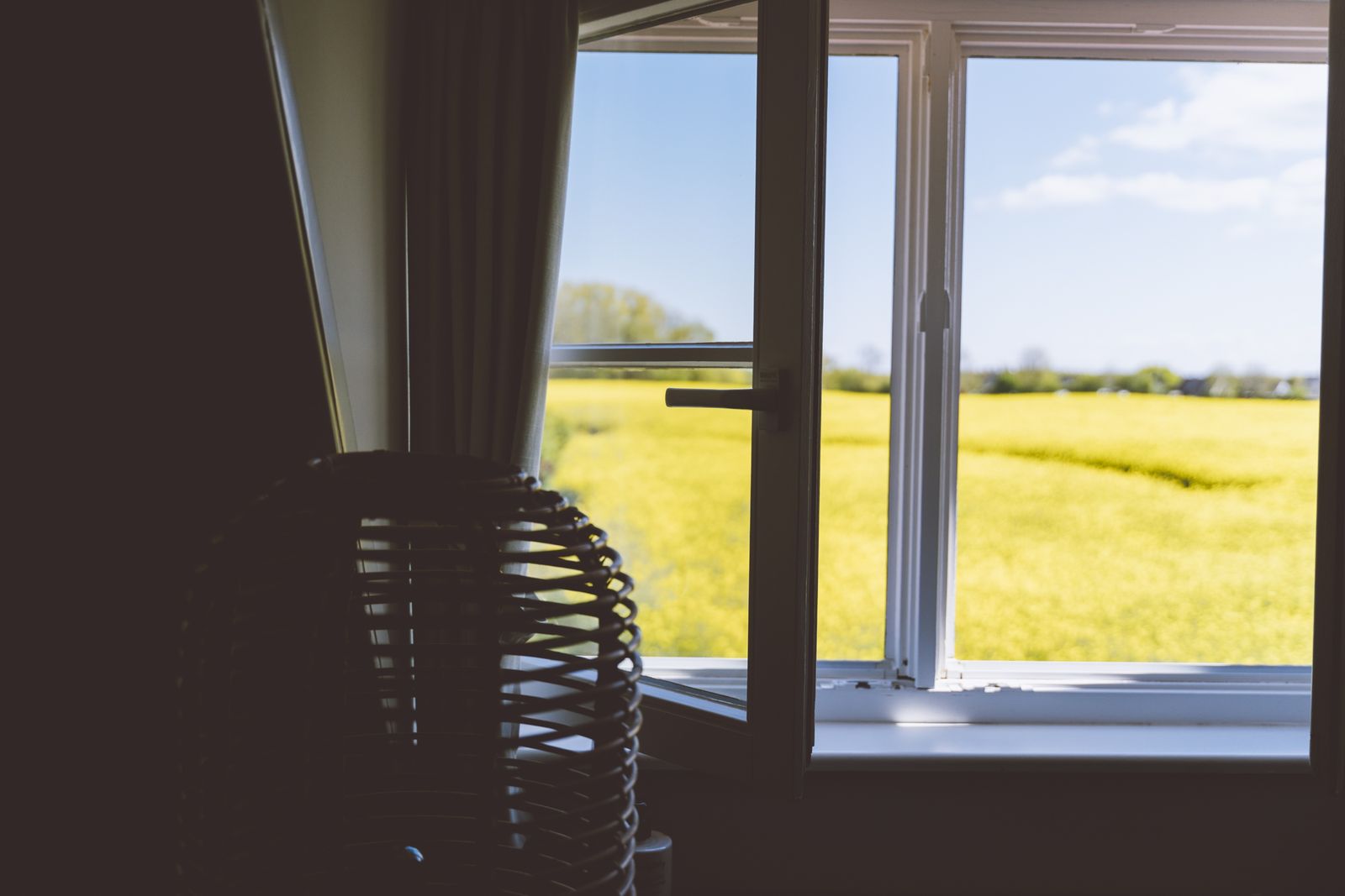 Vogelkoje (Hund erlaubt) image 13 - Gut Oehe