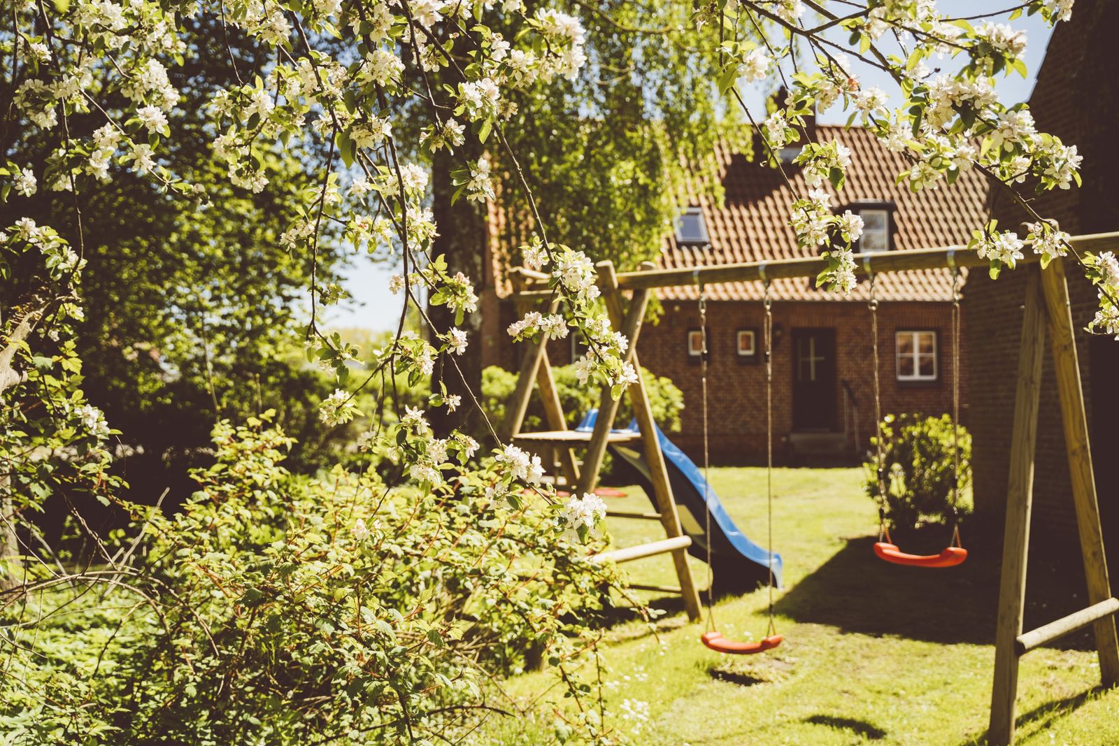 Vogelkoje (Hund erlaubt) image 30 - Gut Oehe