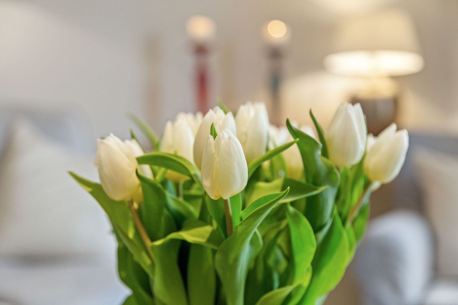 Ferienwohnung Nr. 6 mit Hofblick image 12 - Gut Oehe