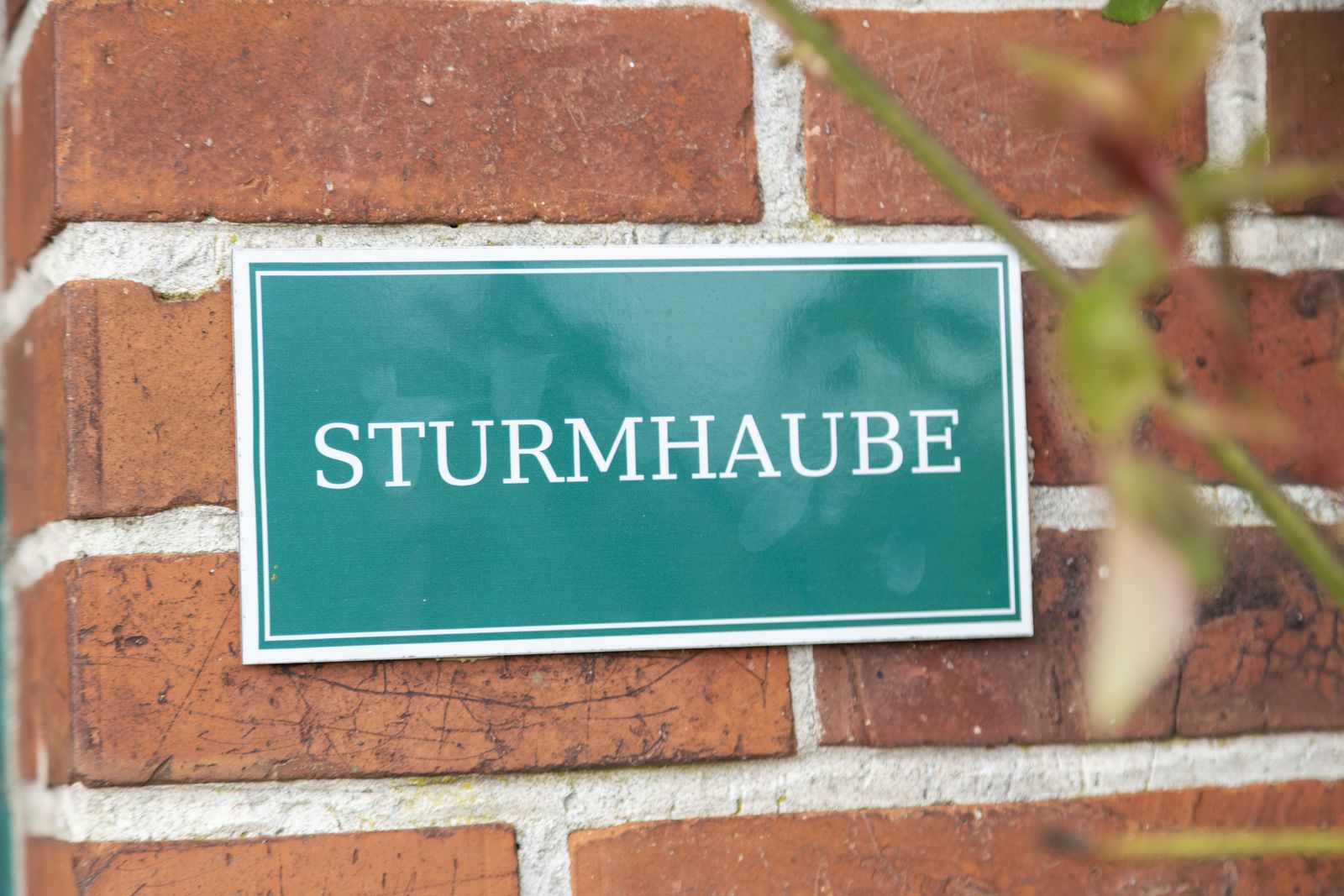 Sturmhaube (Hund erlaubt) image 2 - Gut Oehe