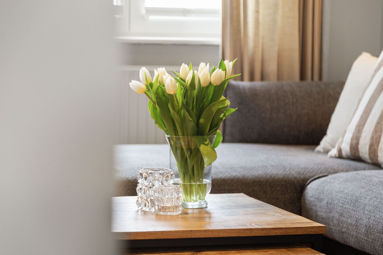 Vogelkoje (Hund erlaubt) image 27 - Gut Oehe