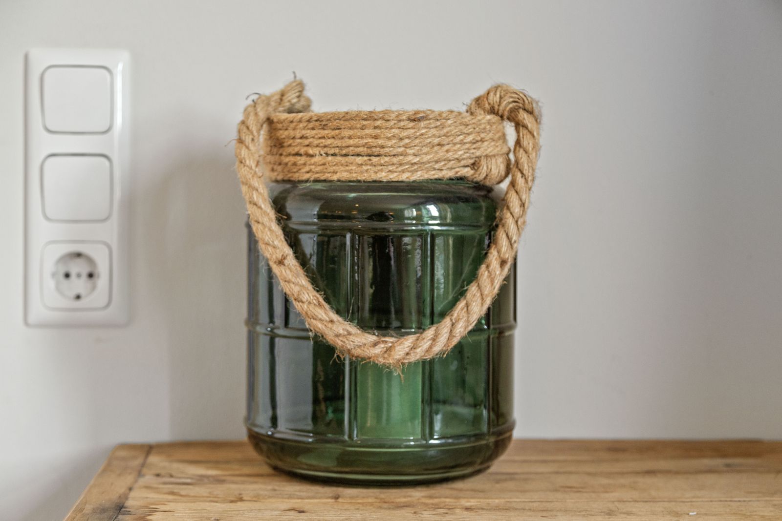 Vogelkoje (Hund erlaubt) image 20 - Gut Oehe