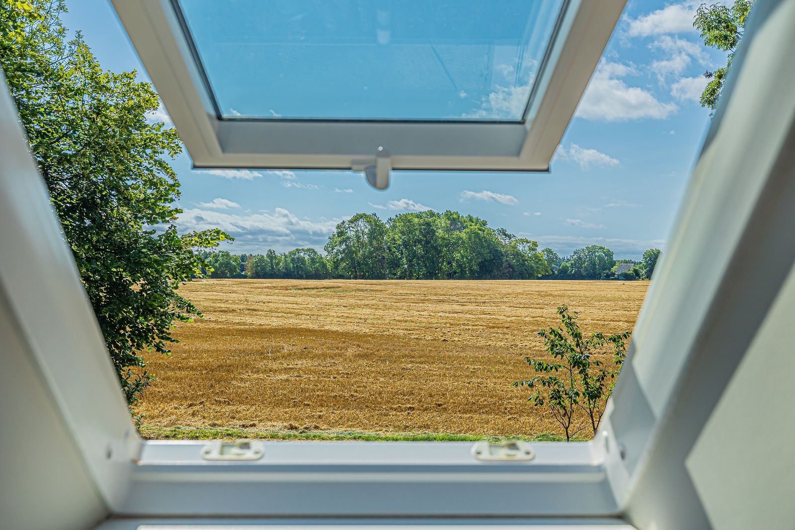 Hummerkoje (Hund erlaubt) image 42 - Gut Oehe