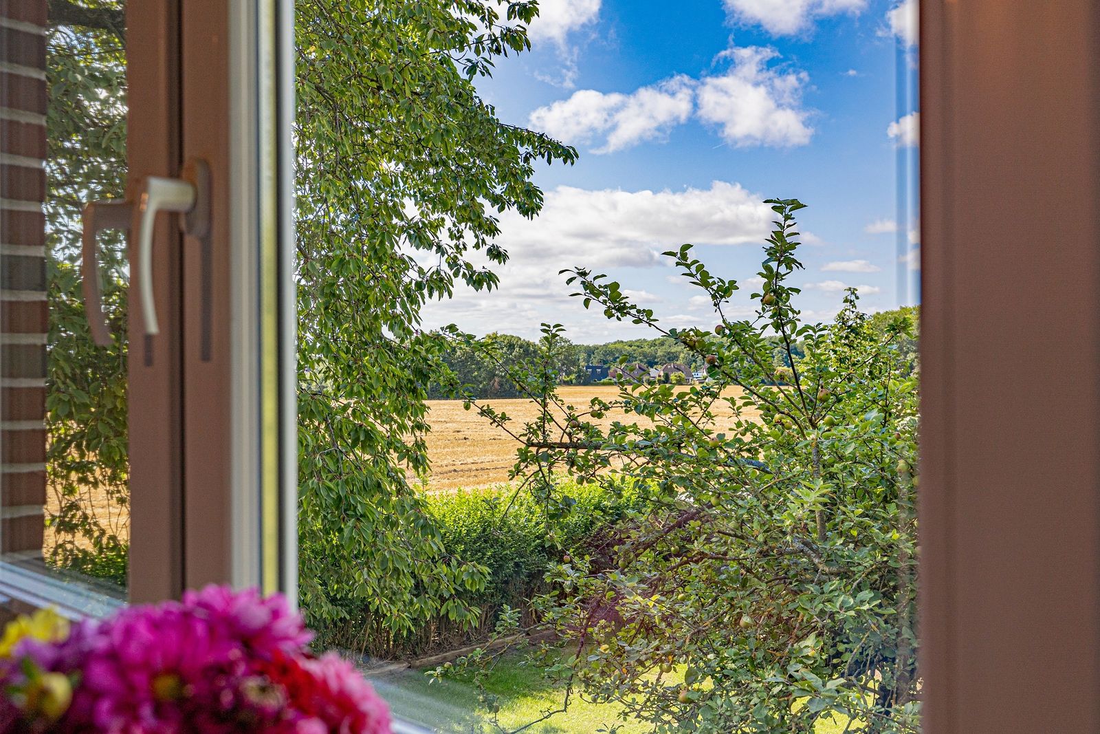 Hummerkoje (Hund erlaubt) image 34 - Gut Oehe