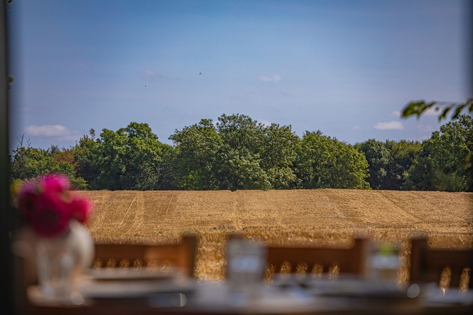 Hummerkoje (Hund erlaubt) image 3 - Gut Oehe