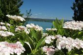Insel Mainau - Blütenpracht am Bodensee