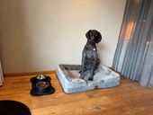 Wuff & Weg  - Urlaub mit Hund