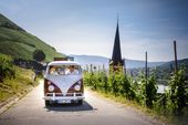 Bulli Tour durch die Weinberge