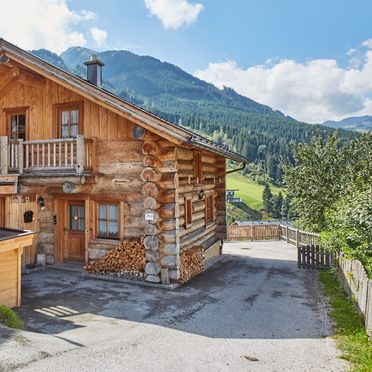 Sommer, DreiHittn - Murmeltier, Saalbach-Hinterglemm, Salzburg, Salzburg, Österreich