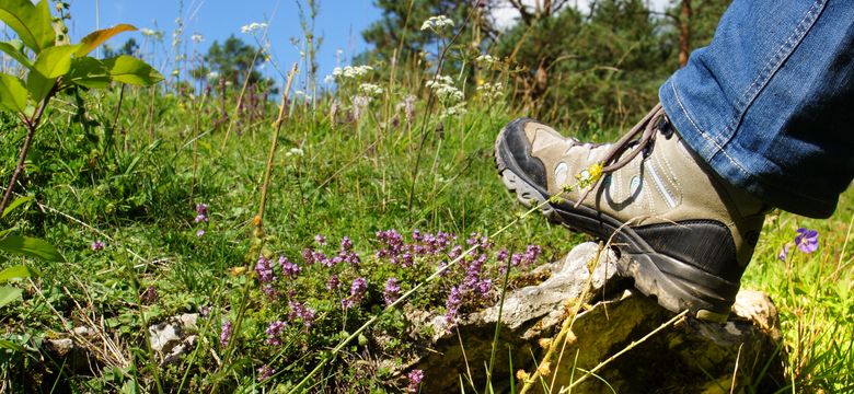 Landhaus Sponsel-Regus: Wandertage