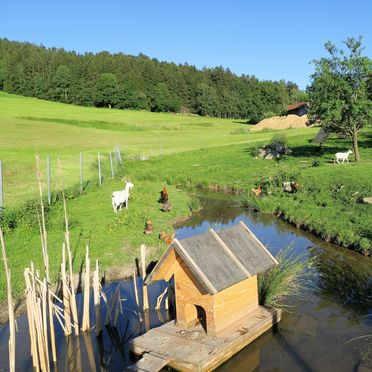 Garten, Chalet Schmuckkastal, Kollnburg, Bayern, Bayern, Deutschland