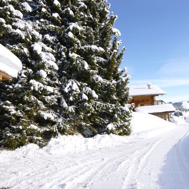 Winter, Oberwalleggalm, Hinterglemm, Saalbach - Hinterglemm, Salzburg, Austria