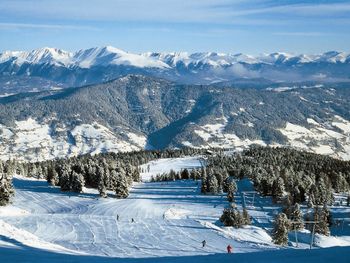 Chalet Lilly - Steiermark - Österreich