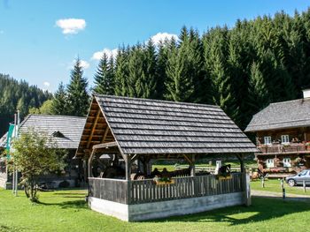 Chalet Zirbenwald II - Styria  - Austria