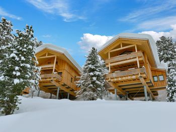 Chalet Zirbenwald II - Steiermark - Österreich