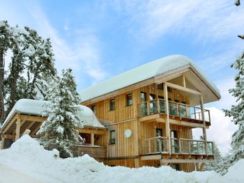 Chalet Zirbenwald II - Styria  - Austria