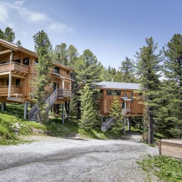 Outside Winter 12, Chalet Zirbenwald III, Turracher Höhe, Steiermark, Styria , Austria