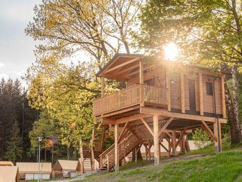 Baumhaus Kötschach - Carinthia  - Austria