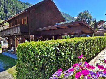 Chalet Maurer - Trentino-Südtirol - Italien