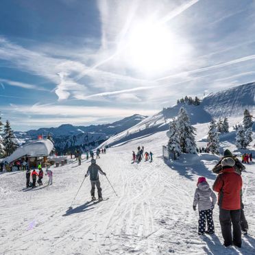 Innen Winter 67, Troadkasten Wildschönau, Wildschönau, Tirol, Tirol, Österreich