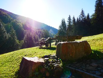 Chalet Höfer - Trentino-Alto Adige - Italy