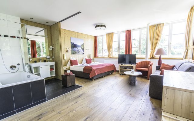 Accommodation Room/Apartment/Chalet:  modern panorama studio