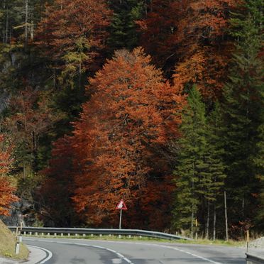 Herbst, Fleissner Hütte, Innerkrems, Kärnten, Kärnten, Österreich