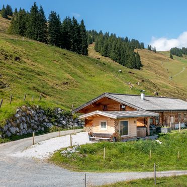 Sommer, Hasenau Alm, Hinterglemm, Salzburg, Salzburg, Österreich