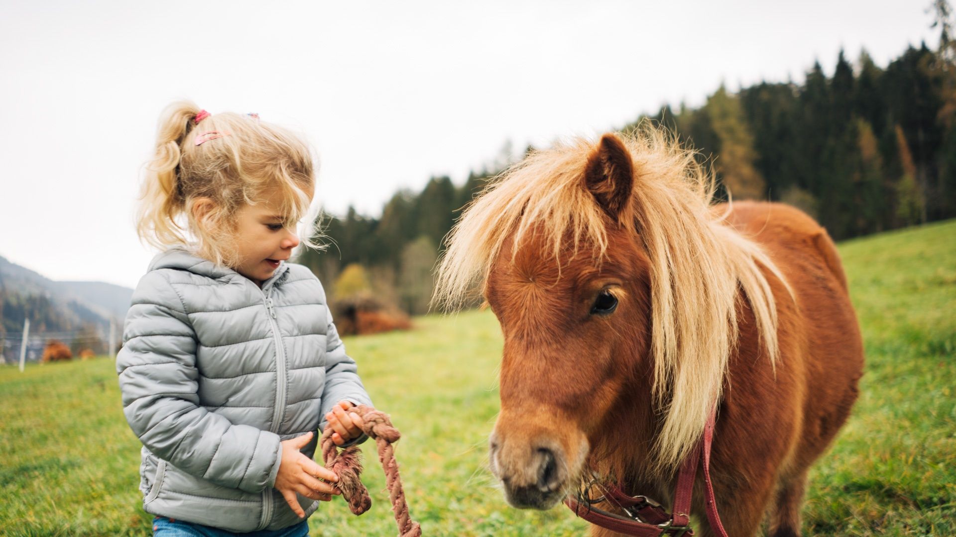 Kind mit Pony an der Leine