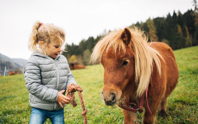 Kind mit Pony an der Leine