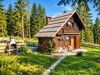 Waldbienenhütte - Carinthia  - Austria