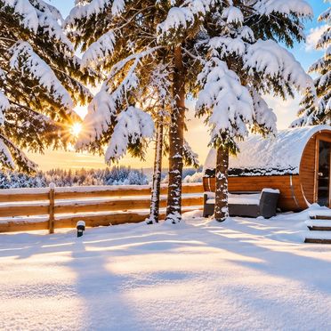 , Waldbienenhütte, Diex, Kärnten, Carinthia , Austria