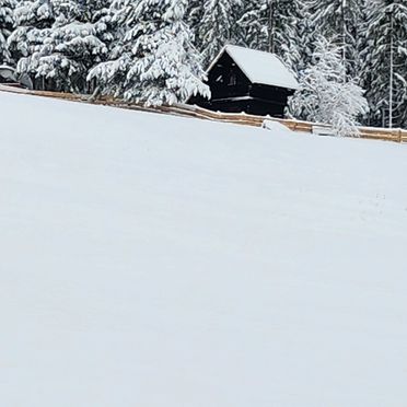 Winter, Waldbienenhütte, Diex, Kärnten, Carinthia , Austria