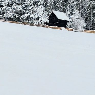 Winter, Waldbienenhütte, Diex, Kärnten, Kärnten, Österreich
