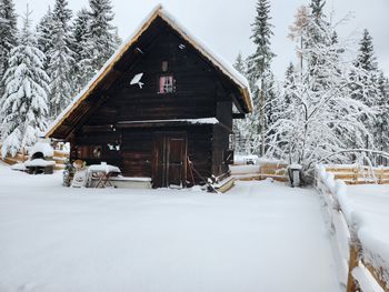 Waldbienenhütte - Kärnten - Österreich