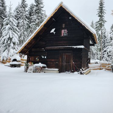 Winter, Waldbienenhütte, Diex, Kärnten, Carinthia , Austria