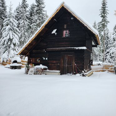 Winter, Waldbienenhütte, Diex, Kärnten, Kärnten, Österreich