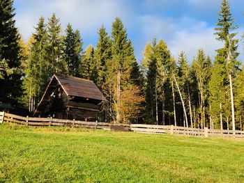 Waldbienenhütte - Carinthia  - Austria