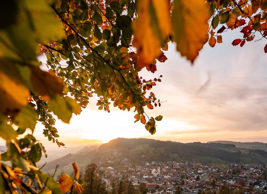 Angebot: Herbst im Allgäu "Wald & Wild" - Hotel-Restaurant Adler