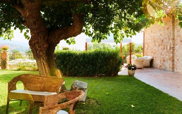 Appartement mit Poolblick image 7 - Country House Felicia | Giungano | Kampanien | Italien