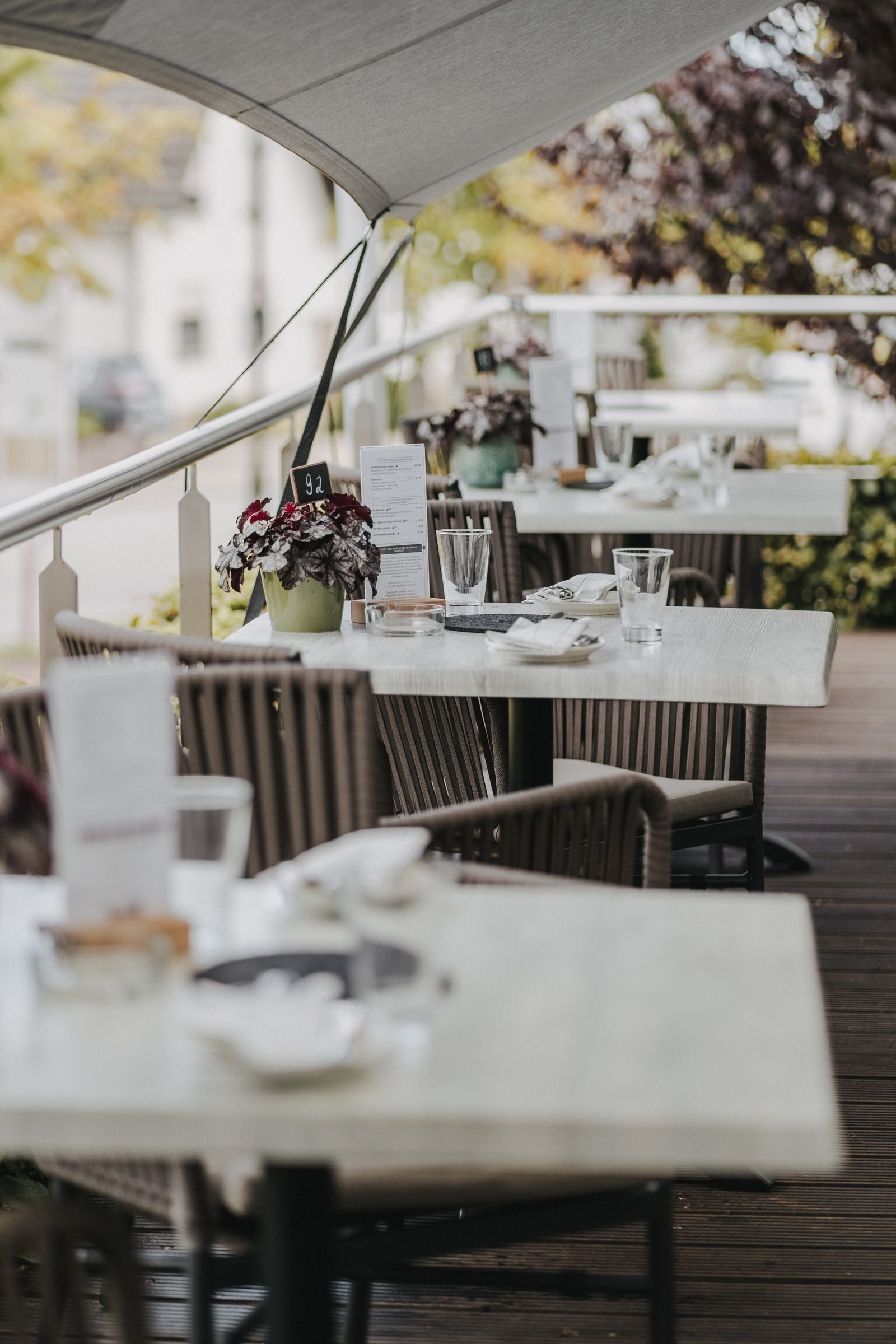Sommer. Sonne. Rosé image 4 - Buchnas Landhotel Saarschleife