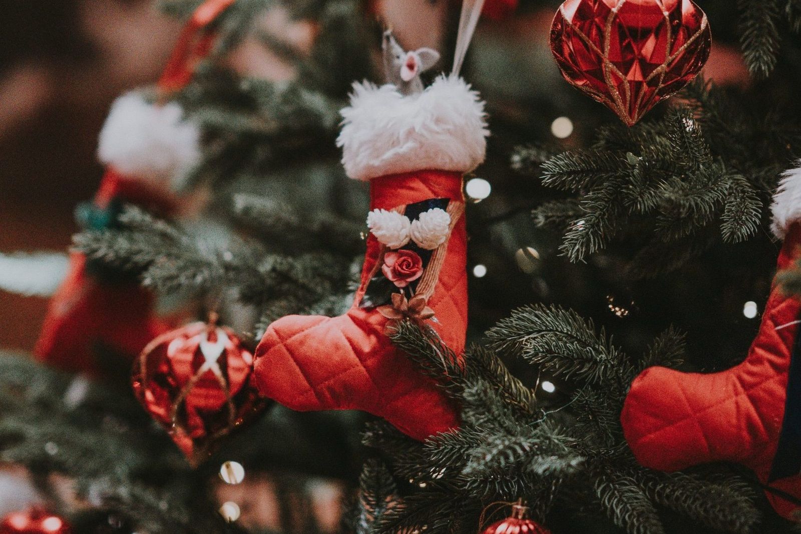 X-Mas Küchenparty image 1 - Buchnas Landhotel Saarschleife