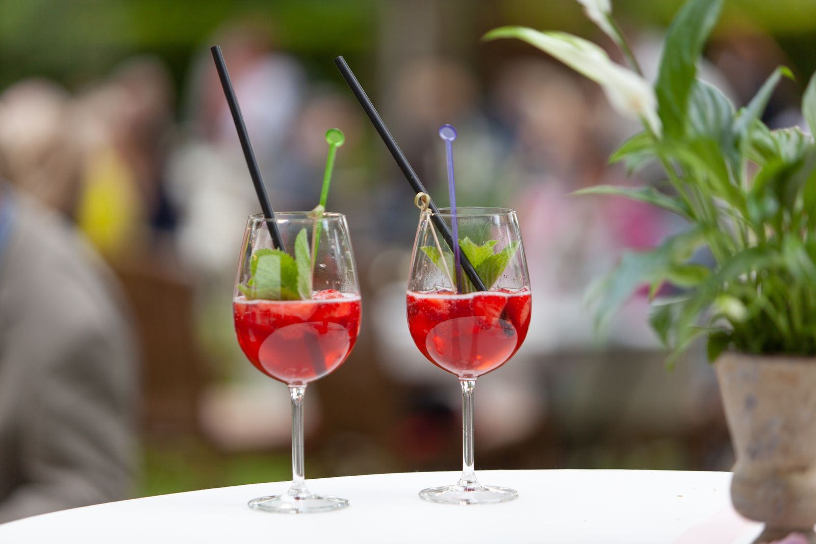 Sommerabende & Grillgenuss image 3 - Buchnas Landhotel Saarschleife