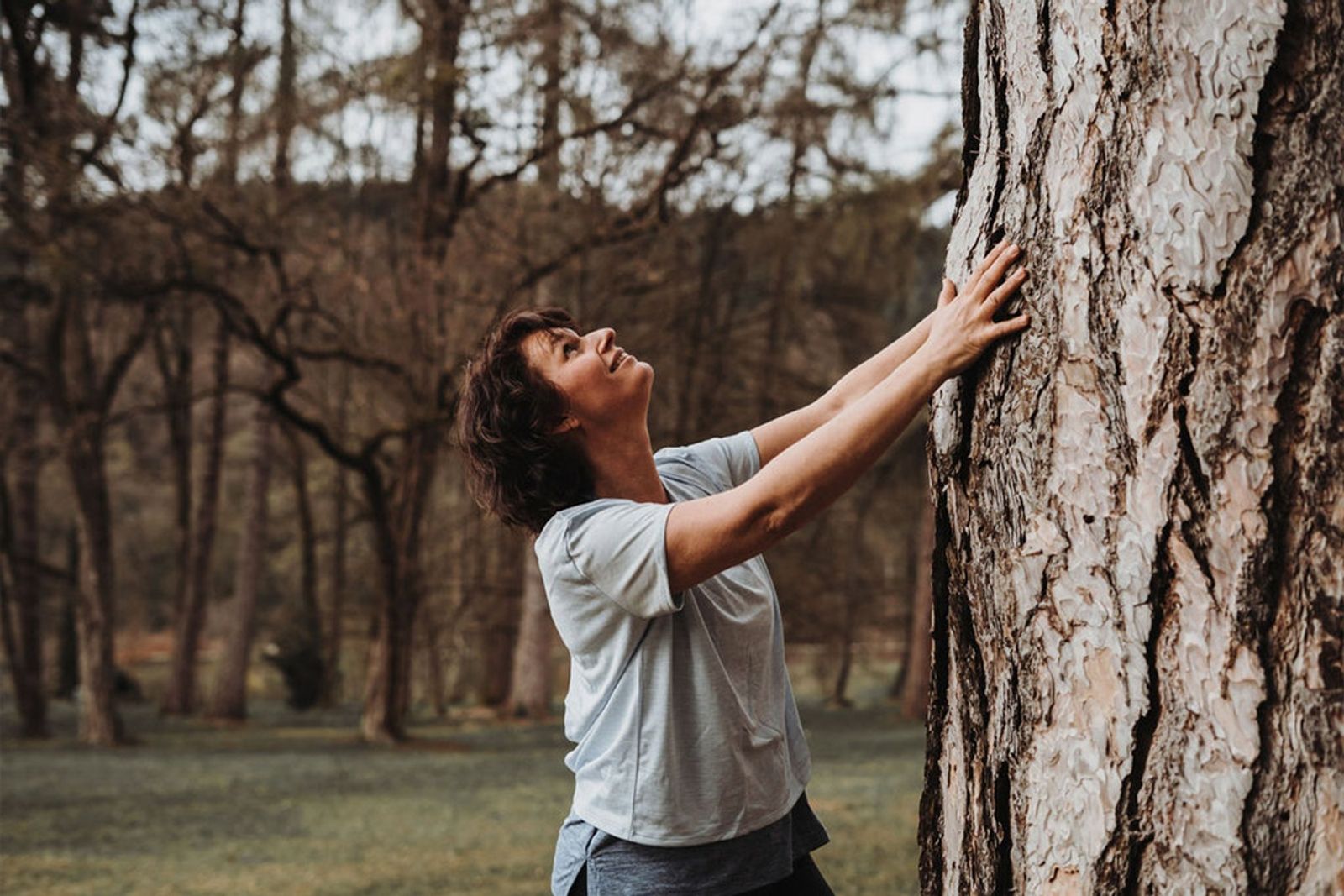 Weitblick image 9 - Buchnas Landhotel Saarschleife