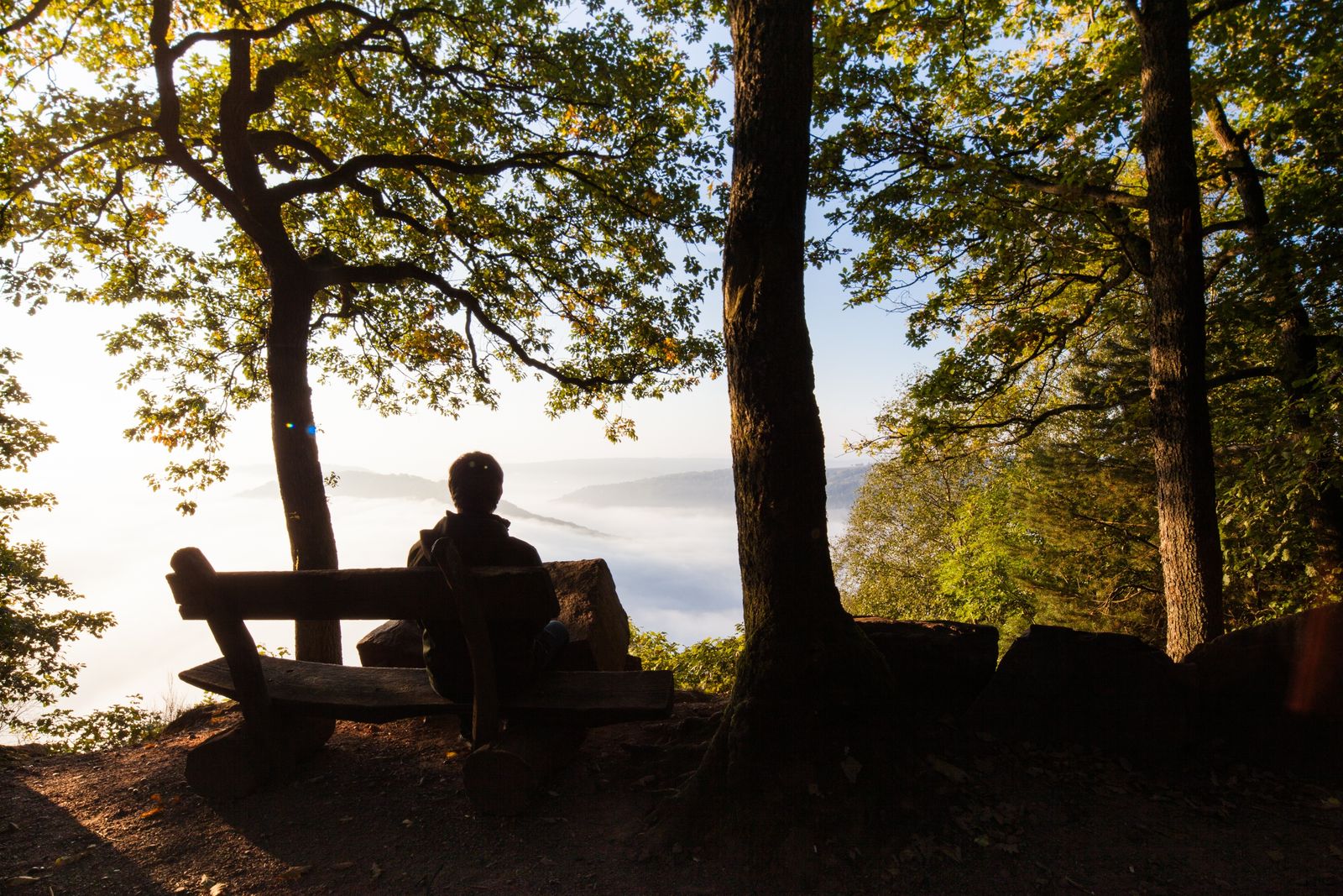 heimat.kultur.erlebnis image 1 - Buchnas Landhotel Saarschleife