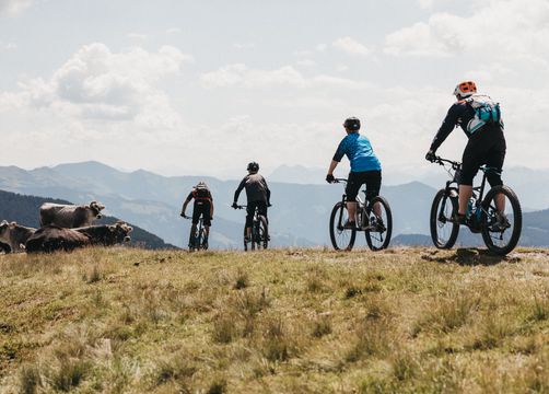 Biohotel Rupertus: Bike-Touren - Biohotel Rupertus, Leogang, Salzburg, Österreich