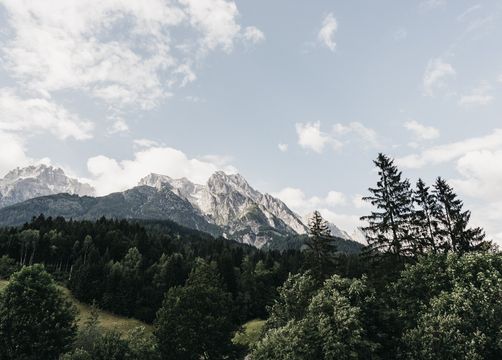 Bio-Familienzimmer Berggeflüster (7/8) - Biohotel Rupertus