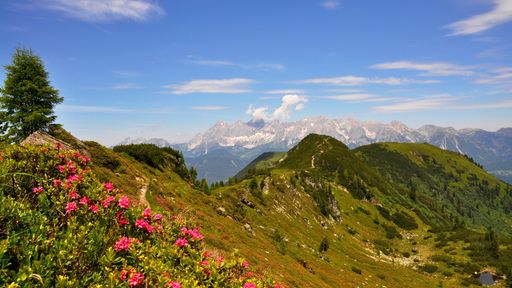 Frühjahr in den Bergen