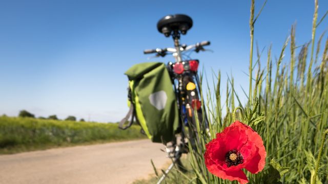 Natur. Zeit auf zwei Rädern